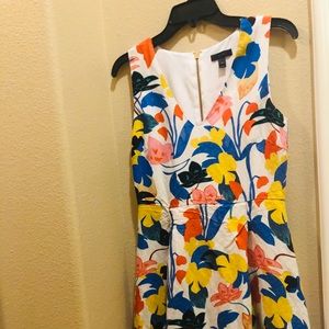 J crew dress
